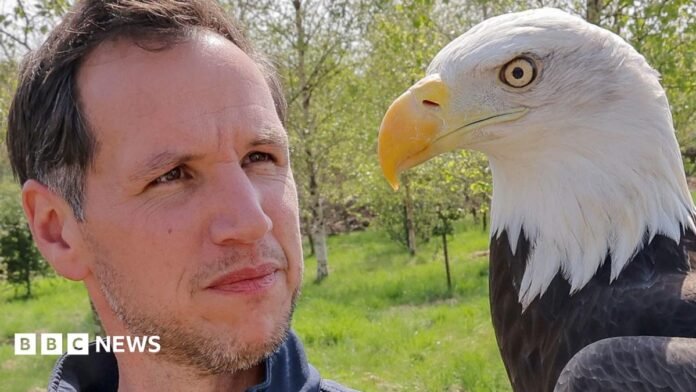 Jimmy, who is tall with faint grey stubble and short dark hair stands in a field holding a large brown eagle with a white head and yellow beak. Anna, who has blond hair, is standing smiling beside him.