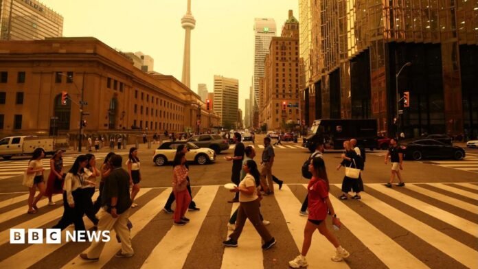 People walk on a crossing in a road downtown Toronto. There are buildings in the background and sky is orange from smoke.
