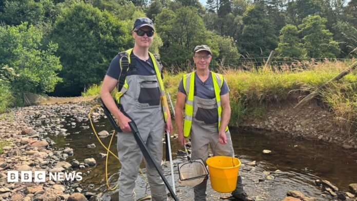 Luke Bryant on the left, next to a colleague from West Cumbria Rivers Trust. They are both wearing grey overalls, blue t-shirts, hi-viz vests and baseball caps. They are holding, buckets, nets and other fishing equipment. They are standing in a shallow stream, surrounded by greenery, with trees in the background.