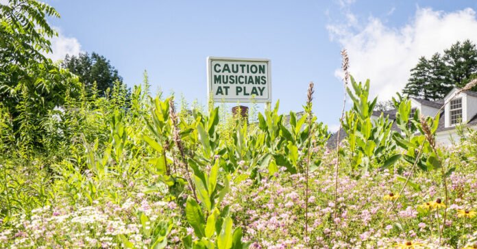 Marlboro Music: Where Artists Have Time to Chase Perfection