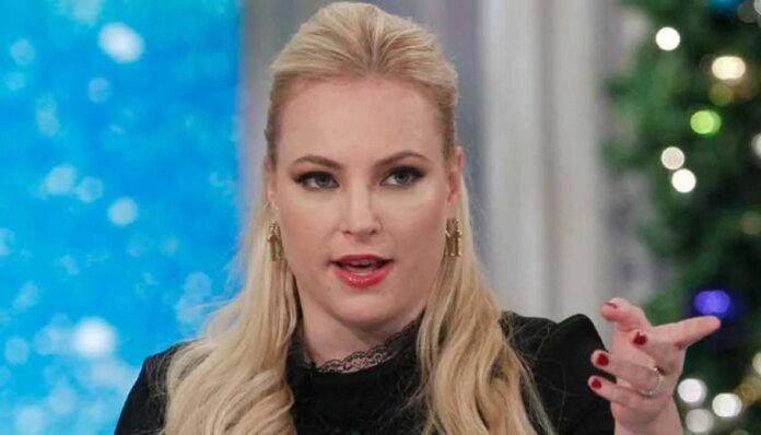 Meghan McCain gives scathing response to trolls calling her 'old and ugly'