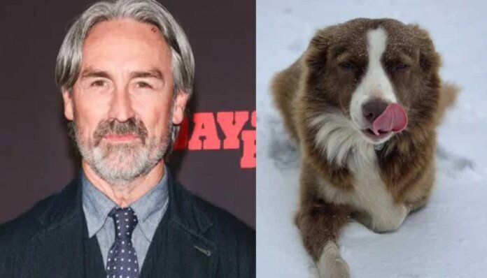 Mike Wolfe left devastated by dog’s death in accident