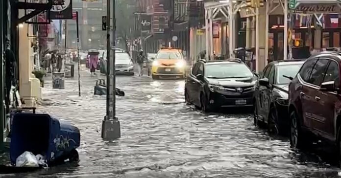NYC Businesses Brace for More Flooding With Severe Storms in the Forecast