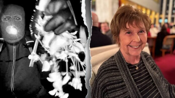 Nancy Guthrie update: DNA couldn't be profiled from crime scene hair sample, sheriff says
