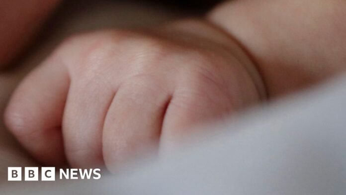 The hand of a newborn baby.