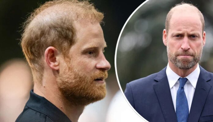 Prince Harry shares William's pain in first message after royal meeting