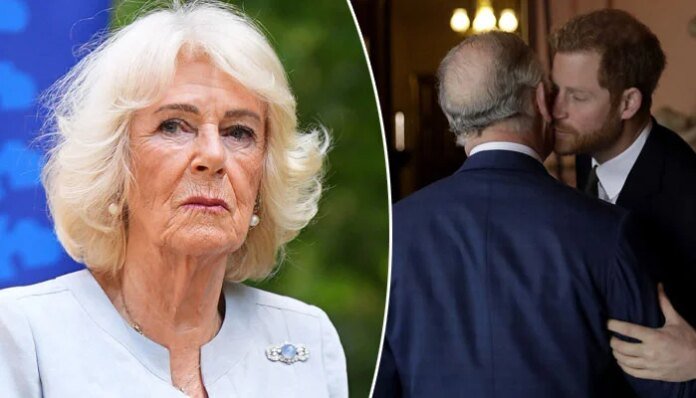 Queen Camilla performs big favour for monarchy after Prince Harry's welcome