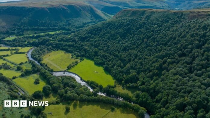 A river runs through a lush and green area with fields on the left and a forest on the right.