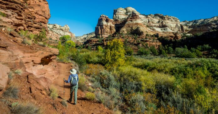 Trump Sharply Cuts the Size of Two National Monuments in Utah