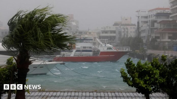 High winds and wet weather at a marina in Ishigaki Island, in Japan's Okinawa Prefecture. Wind blows through a palm tree and boats are seen on a choppy sea close to the quay.