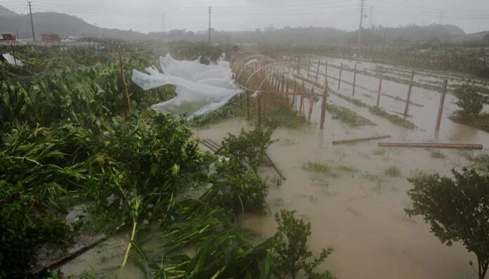 Typhoon Bavi batters eastern China, threatens days of heavy rain