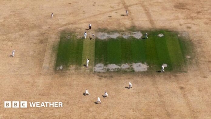 A cricket match on a yellow-brown, dry outfield with a green square