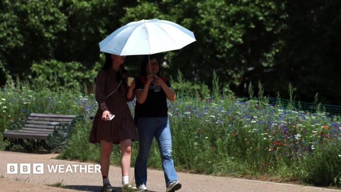 Women shelter themselves from sun with umbrella in London park on 26 June 2026