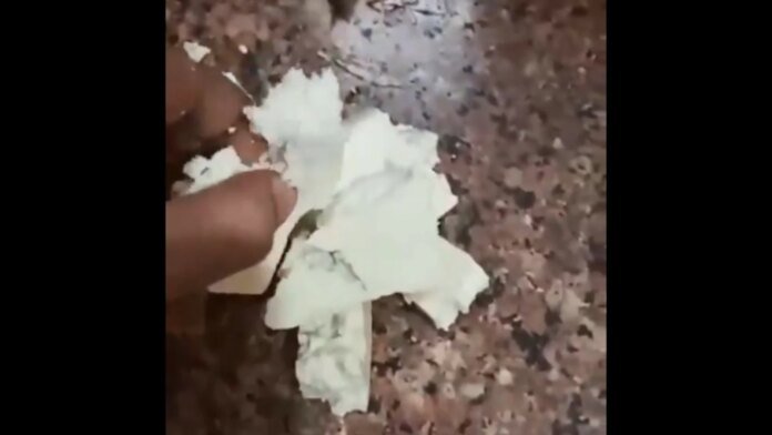 Video: Customer Complains Blinkit Delivered 'Fake' High-Protein Paneer, Company Responds