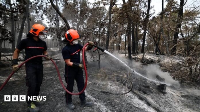 Two black-clad firefighters with orange helmets hold a red hose as they spray water on to burned ground in a dense forest