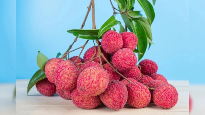 Why Italy Loves Litchi From Dehradun?