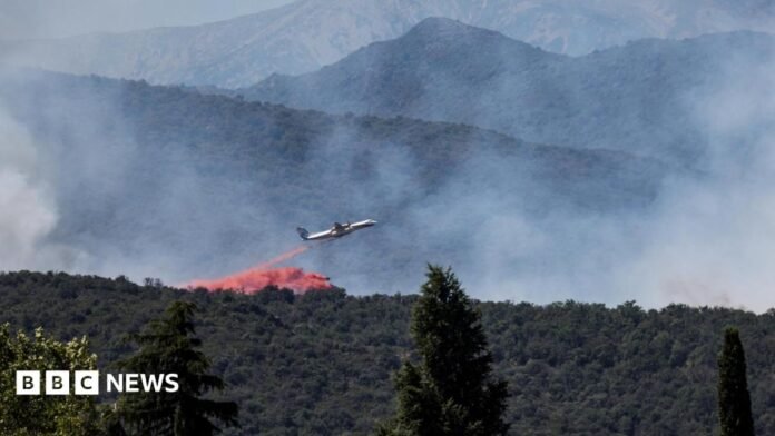 A firefighting plane drops fire retardant as it flies over a wildfire in Ille-sur-Tet near Perpignan in southern France.