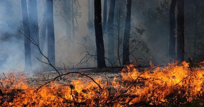 Wildfires in France and Spain force 250,000 to flee as crews continue to battle untamed blazes