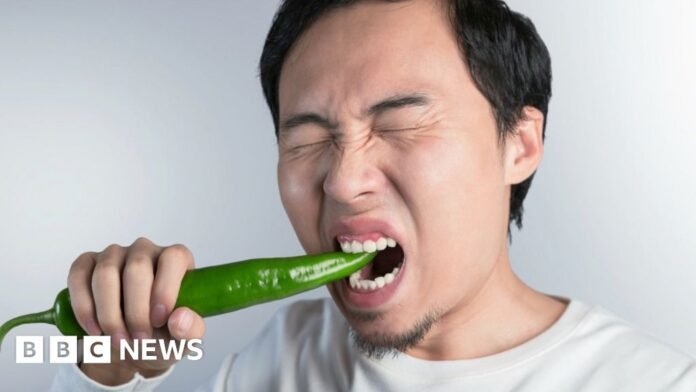 A man in pain biting a large green chilli