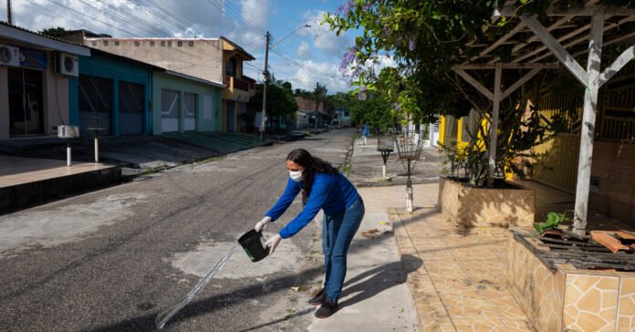 A City Mobilizes Against a Stubborn Health Threat: Mosquitoes