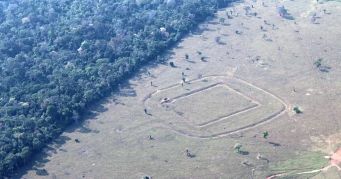 Archaeologists Find Hundreds of Ancient Glyphs in the Amazon