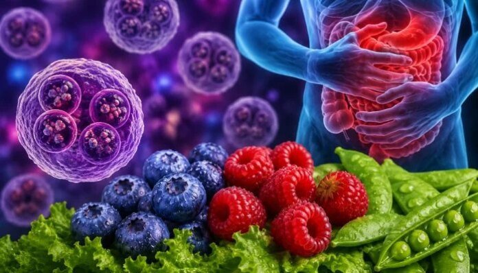Ex-CDC Director Dr Robert Redfield warns Cyclospora outbreak may extend to fruits