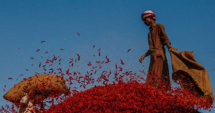 Extreme Heat Comes for the Red Chile Capital of Pakistan