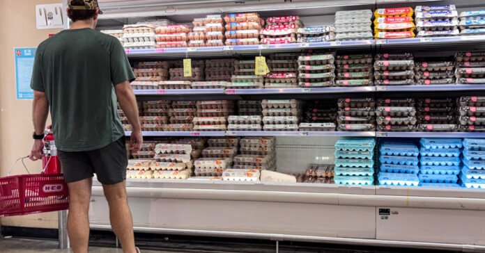 FDA Classifies Egg Recall as Class I for Highest Health Risk