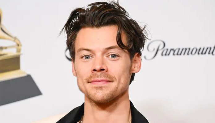 Harry Styles melts hearts after sharing sweet moment with fan's baby