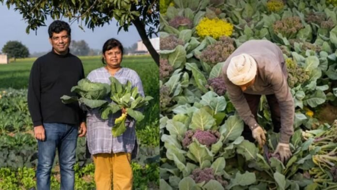 How A Health Scare Made This Delhi Couple Build A 15-Acre Organic Farming Business