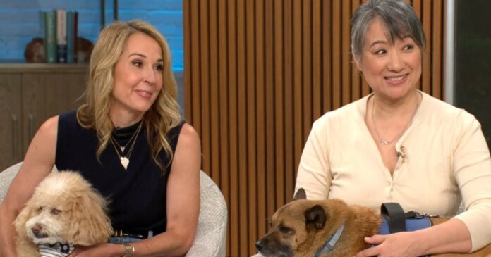 Meet the winners of a Paw Patrol look-alike contest