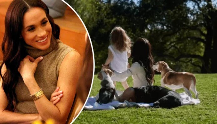 Meghan's beloved family member honoured for 'resilience' in new video