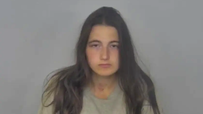 North Dakota mom stabs her 2 children to death in 'horrific' killing that left cops traumatized: officials