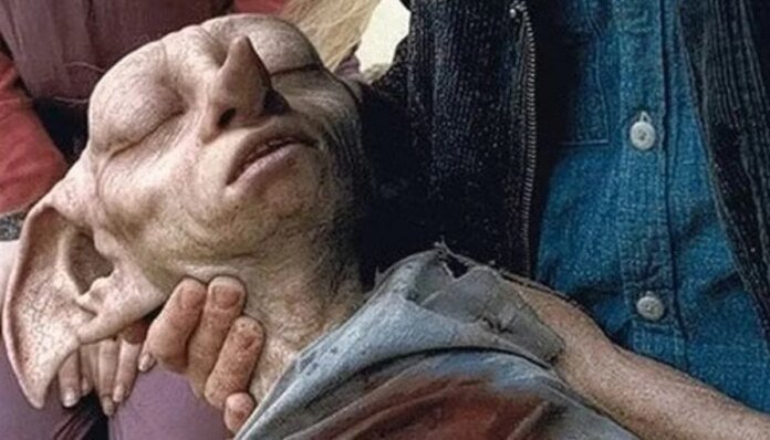 Potterheads show how far they will go to protect Dobby’s grave