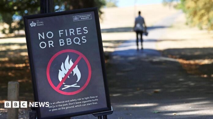 A sign on Primrose Hill in London saying 'NO FIRES OR BBQS'