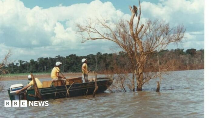 A man in a rowing boat approaches a bird in a tree, in the middle of a river.