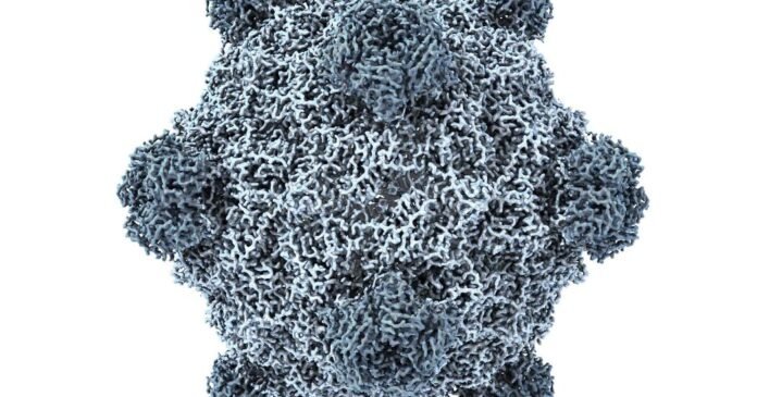 This A.I. Just Created Viruses Not Found in Nature