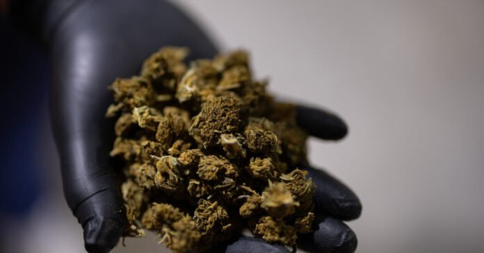 Trump Seeks a Boost for Hemp That Would Benefit a Top Aide’s Family