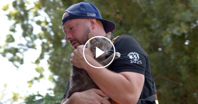Video: A French Village Becomes a Ghost Town After the Wildfires