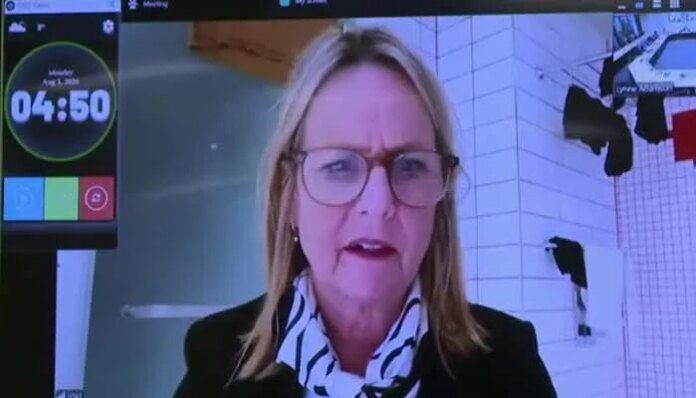 'We can see your washing': NZ politician joins meeting from bathroom
